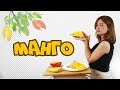 ВСЕ О МАНГО! То, о чем Вы не слышали! #mangogold #mangoelit #mango6 #mango