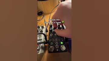 guitar pedals never cease to amaze me #sounddesigner #electronicmusic #edm #synth #pedal #viral