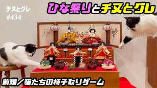 雛祭り】イタズラ盛りの猫に雛人形は危険すぎました／ 猫たちの椅子