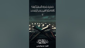 سورة الأنعام | Al-An‘ām | آية 33 | الشيخ وديع اليمني