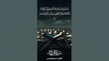 سورة الأنعام | Al-An‘ām | آية 33 | الشيخ وديع اليمني
