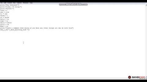 python Episode (3) leave a comment for what you know you can do
