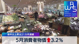 5月消費者物価↑3.2％　前年比上昇は21カ月連続【WBS】（2023年6月23日）