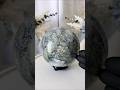 Water Grass Agate 4.1lb Crystal Sphere | Calming | Grounding | Protection