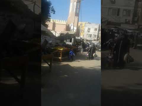 ابوتشت تستغيث عادل فخري محمد