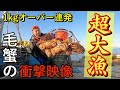 ついに大漁！！衝撃映像になりました 。【THE 毛蟹シーズン2】Horsehair crab of big catch in Hokkaido｜北海道的馬毛蟹捕撈｜