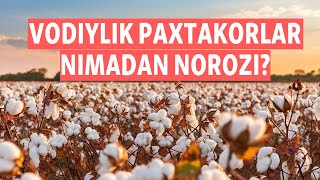 Vodiylik paxtakorlar nimadan norozi?