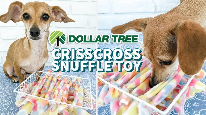 Dollar Tree DIY - Boredom Buster Busy Dog Box