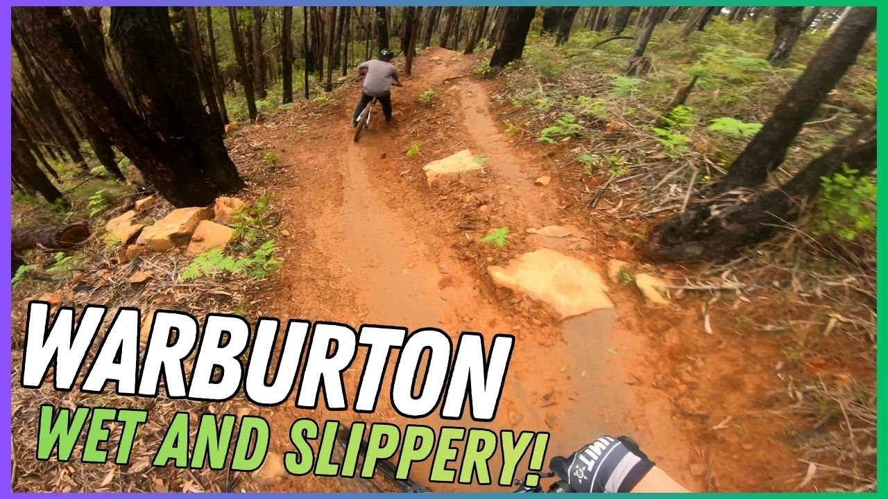 Hidden Gem in Victoria! | Warburton MTB Trails | MTB POV (4K)