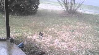 20130318_182218.mp4 20130318_182218.mp4