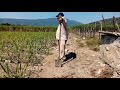 Cultivando caña de Azúcar en el estado de Morelos ( arreglando tendidas de agua)