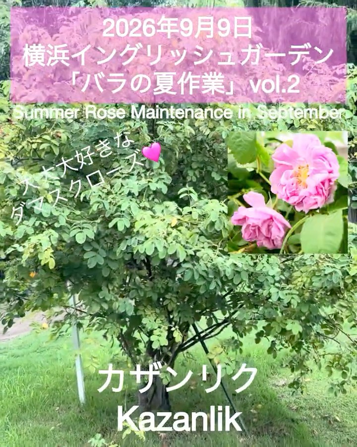 September 9, 2026 Yokohama English Garden 