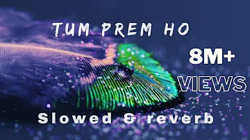 Tum Prem Ho Tum Preet Ho (Radha Krishna)[SLOWED+REVERB]| Bhajan Lofi 2023