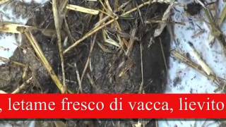 Bocashi, Biofertilizzanti e preparati base per l'agricoltura organica