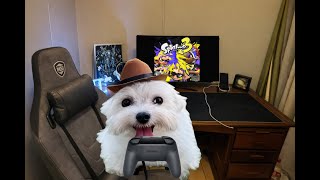 Splatoon 3 Bingo with my Friend | Splatoon 3