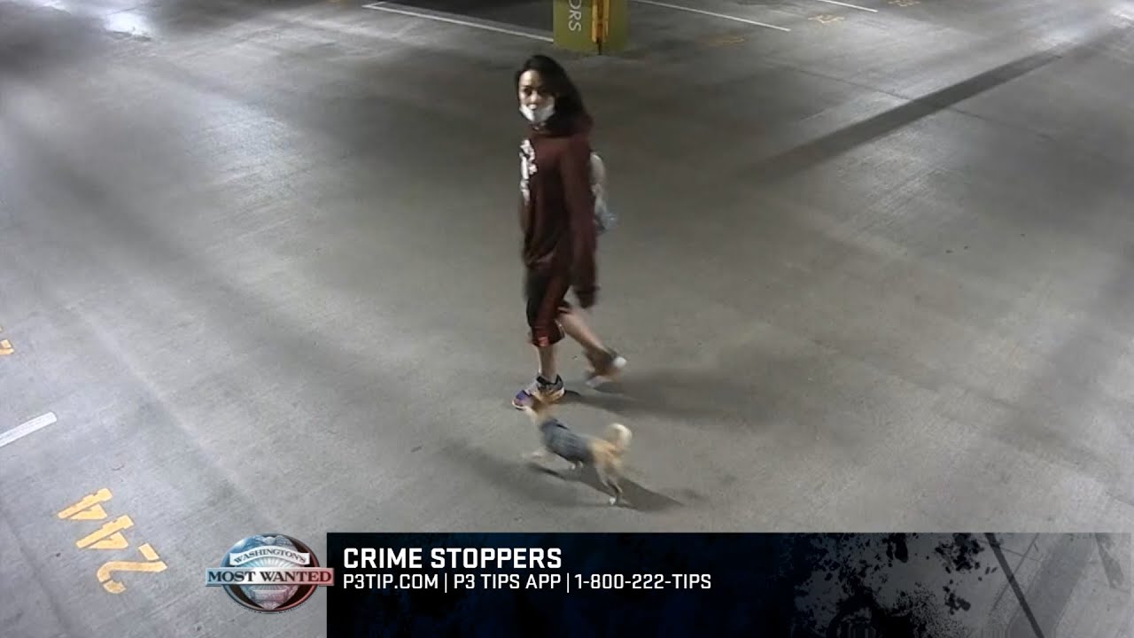 Washington's Most Wanted • July 10, 2020 • Crime Stoppers of Puget Sound