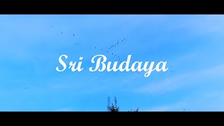Profil Desa Sri Budaya || Kec. Way Seputih Kab. Lampung Tengah
