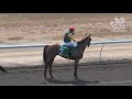 View race 2 video for 2019-06-29