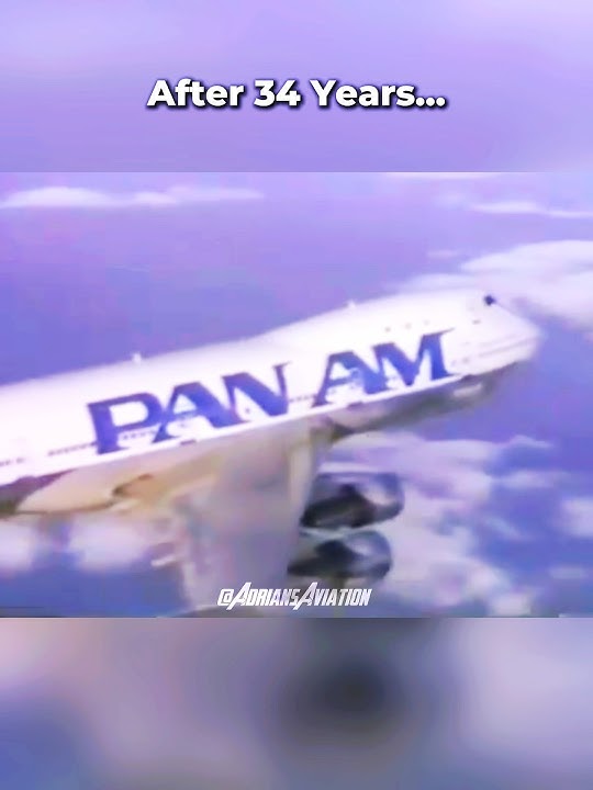 After 34 Years… Pan Am Is Back in Service?! 😍 #viralvideo #viral #aviation