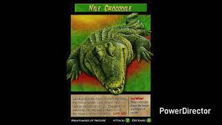 Weird N Wild Creatures J Paul Style Season 2 Episode 20 Nile Crocodile