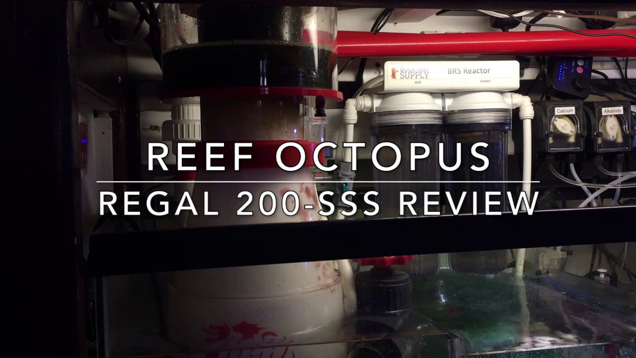 reef octopus regal 200