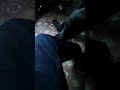 Maa sharde Kopar to Vasai Ayenge theek hai