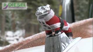 Highlights from the 2011 U.S. Capitol Christmas Tree Harvesting