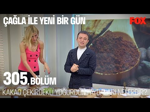 Kakao çekirdekli yoğurdun faydaları nelerdir? Çağla ile Yeni Bir Gün 305. Bölüm