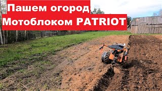 :    Patriot- .   .