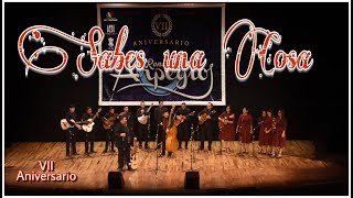 Video-Miniaturansicht von „Sabes una Cosa - Rondalla Arpegio (EN VIVO) Concierto VII Aniversario“