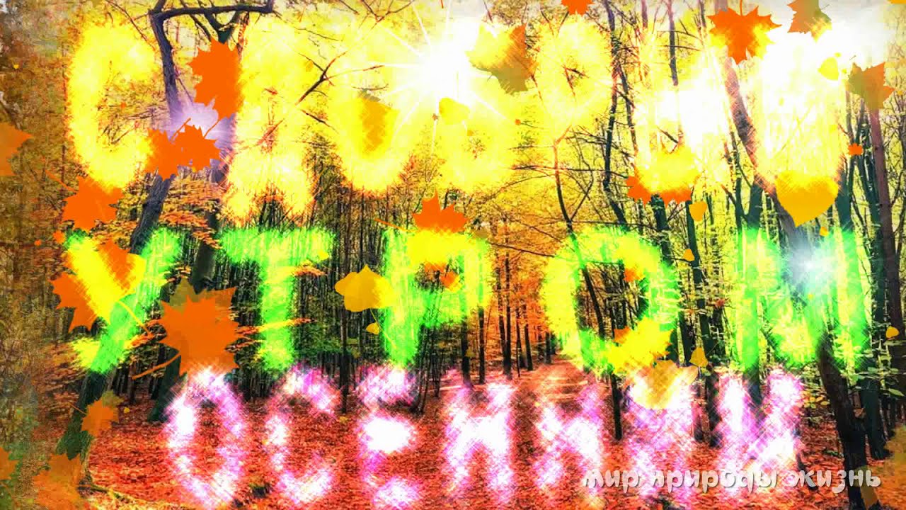 Романтичного осеннего настроения