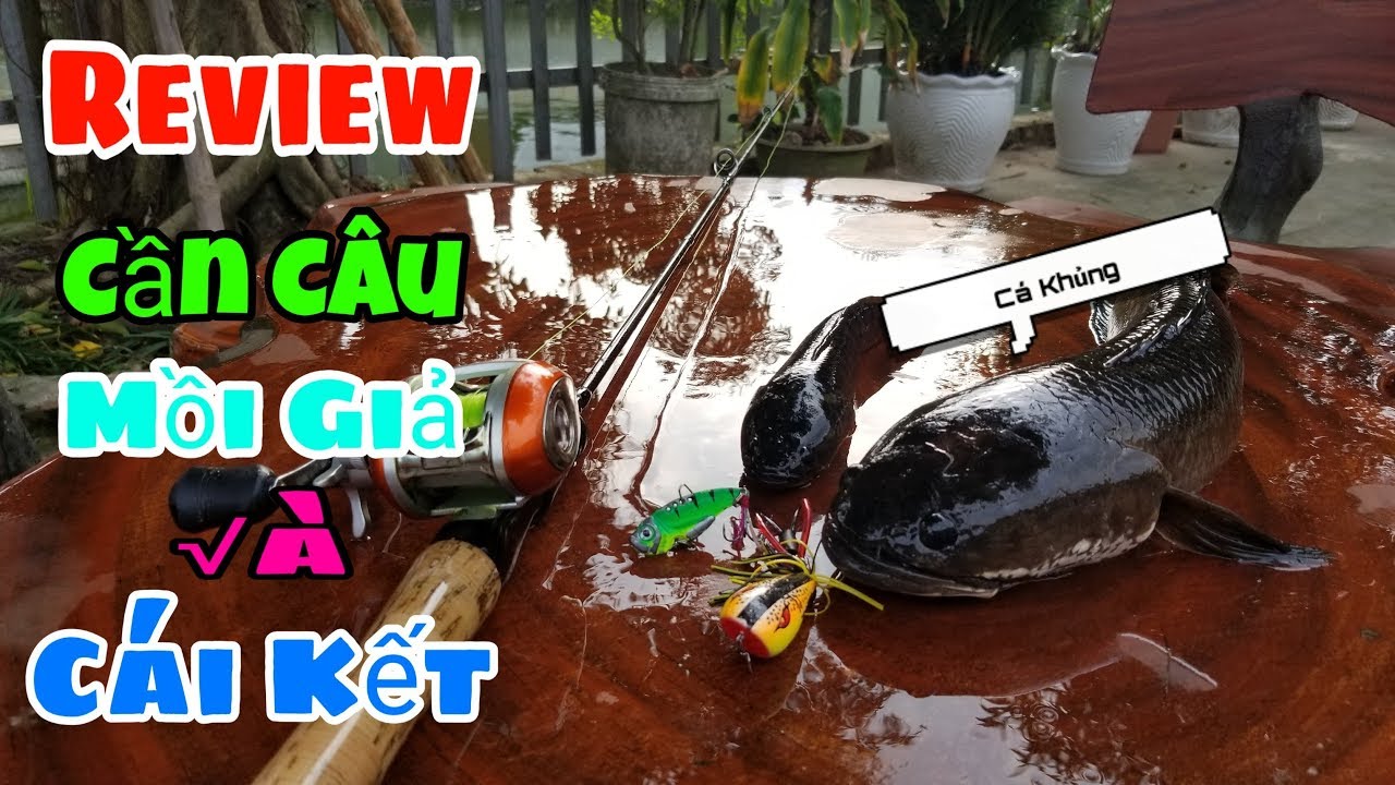 Thóc TV - Review Cần Câu Lure , Mồi Giả và Cái Kết ||