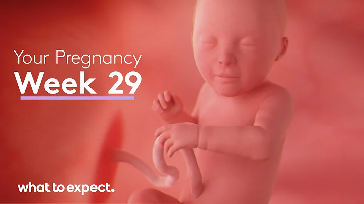 29 Weeks Pregnant - What to Expect