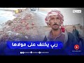 تيارت الفيضانات تجرف كميات كبيرة من محصول البصل في الطريق تيارت الفيضانات تجرف كميات كبيرة من محصول البصل في الطريق