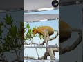 Immersive Interactive Warm Up  Full Version #ViralWarmUp #InteractiveWarmUp #followalongworkout