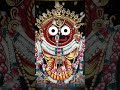 Mo Prabhu Jagannath//Se Je KamalaKanta!!🌺👌🙏#viral #shortsvideo #odiabhajan#jaganathabhajan#shorts Mp3 Song