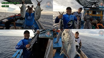 Trải nghiệm lần đầu đi câu jig