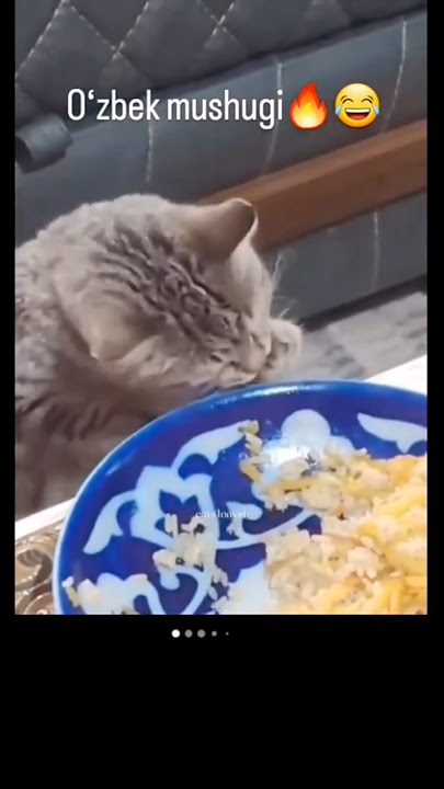 Keksa er-xotinlar porno rasmlar Yangi kattalar porno rasmlar