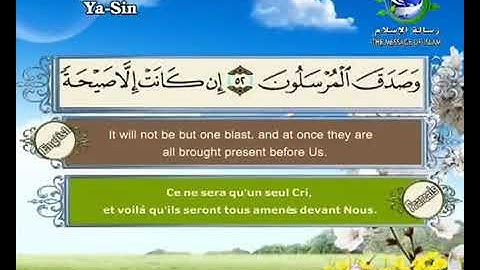 سورة يس  مترجم بالفرنسية و الإنجليزية  القارئ سعد الغامدي saad elghamedi قران كريم Holy quran