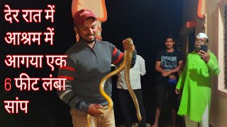 देर रात में आश्रम में आगया एक 6 फीट लंबा सांप Rescue Indian Rat Snake #उक्कल गांव श्रीरामपुर