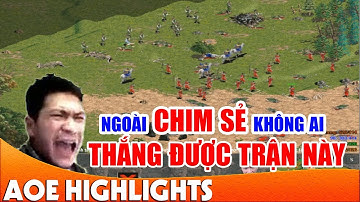 Siêu phẩm:"Cung A Persian cân đôi Shang, Phoenician" của Chim Sẻ | AoE Highlight