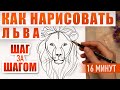 Как нарисовать льва поэтапно карандашом | Обучающие видео уроки по рисованию для начинающих.