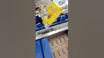 High speed continuous type automatic horizontal carton box biscuit case side pushing cartoning machi