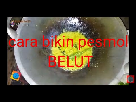 Pesmol Belut
