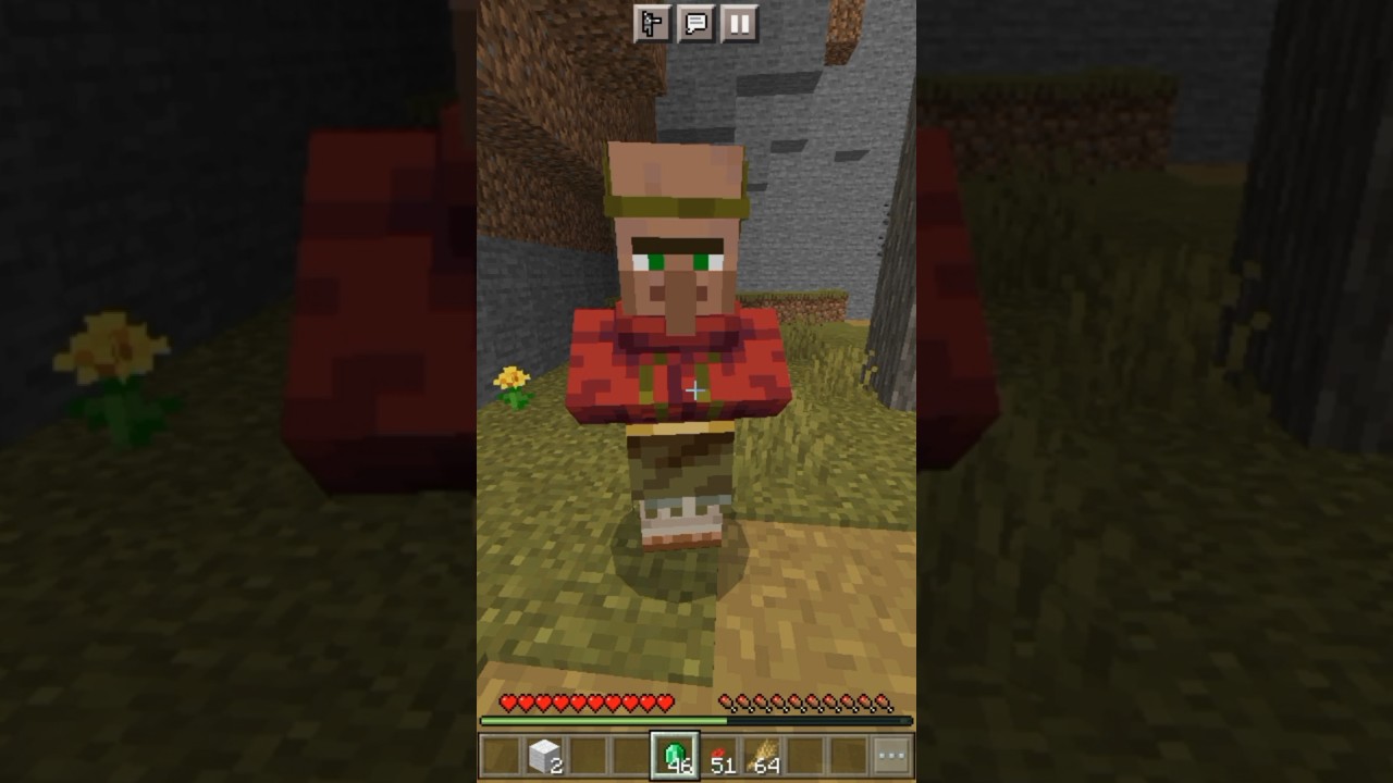 How Boys and Girls Play Minecraft 