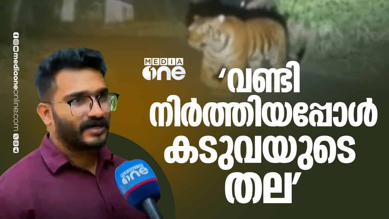 'കയറ്റത്തിൽ വണ്ടി നിന്നപ്പൊ കണ്ടത് കടുവയുടെ തല... ആദ്യം പശുവാണെന്നാ കരുതിയത്...'