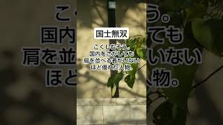 【高齢者向け】座右の銘にも!意味や字面がかっこいい四字熟語まとめ