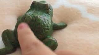 Green frog review 🐸🐸