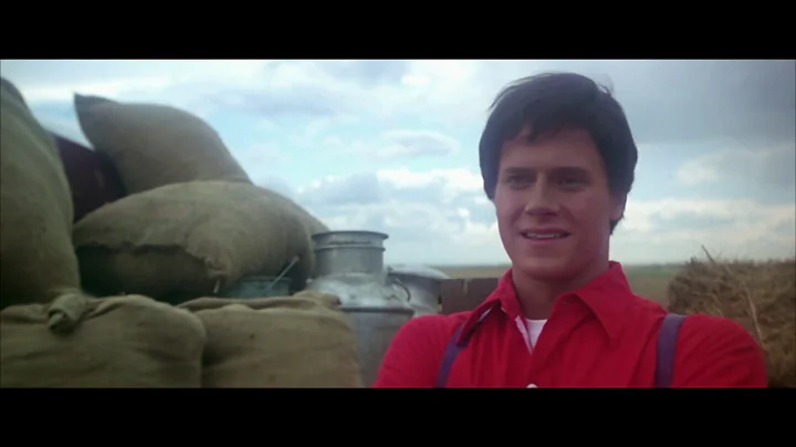 STM Music Comparison