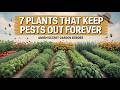 7 Plants the Amish Use to Keep Pests Out of Their Garden Forever
